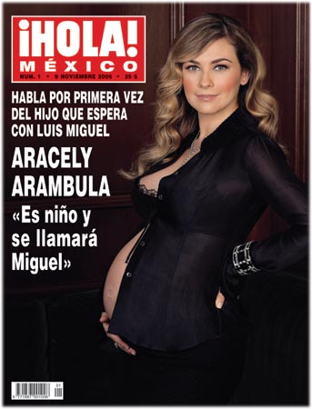Aracely Arambula embarazada