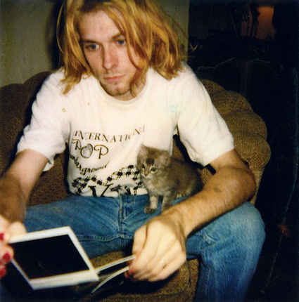 Kurt Cobain gato