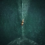 Poster de In the Heart of the Sea