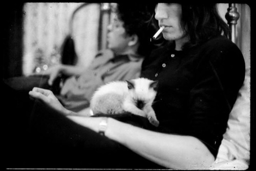 Roger Waters and cats