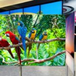 LG lanza su televisión OLED de 55 pulgadas